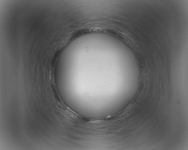 X0000052580417200507010918