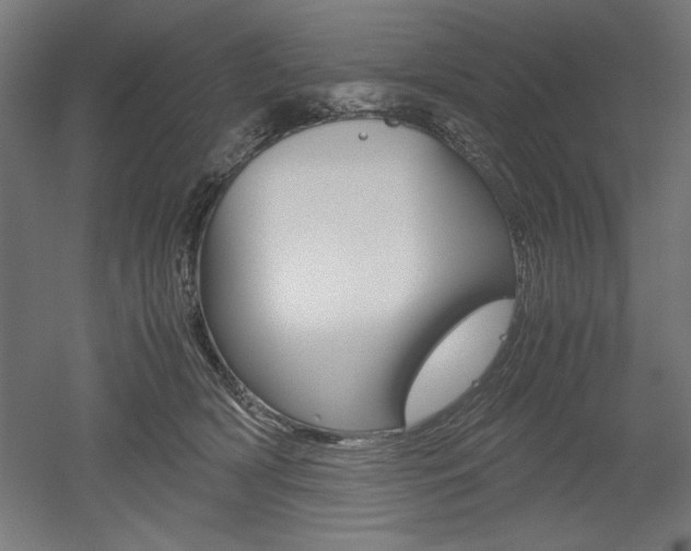 X0000052580418200507010918
