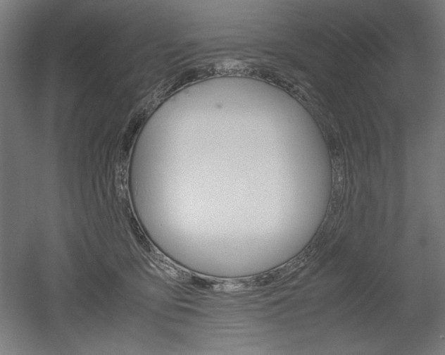 X0000052580419200507010918