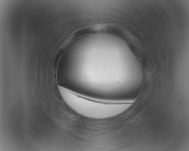 X0000052580421200507010918