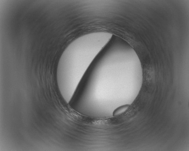 X0000052580422200507010918