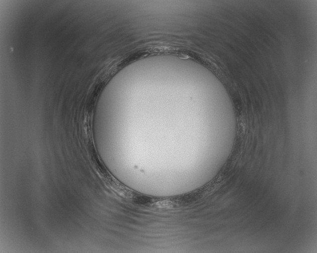 X0000052580423200507010918