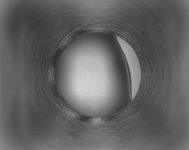 X0000052580425200507010918