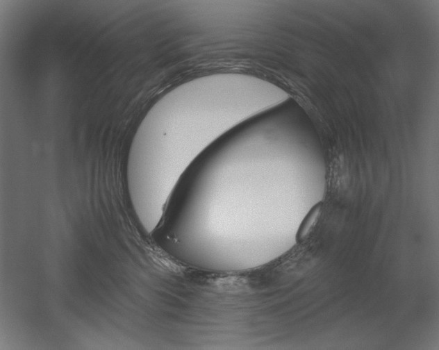 X0000052580426200507010918