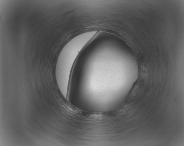 X0000052580428200507010918