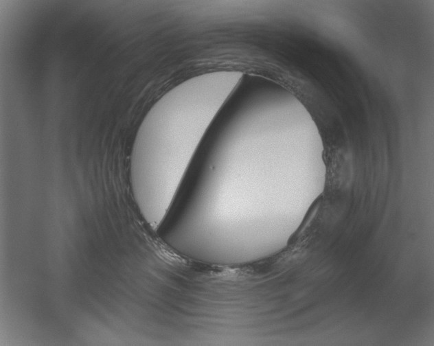 X0000052580430200507010918