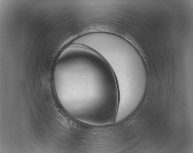 X0000052580434200507010917