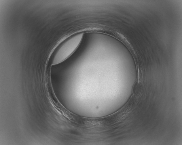 X0000052580435200507010917