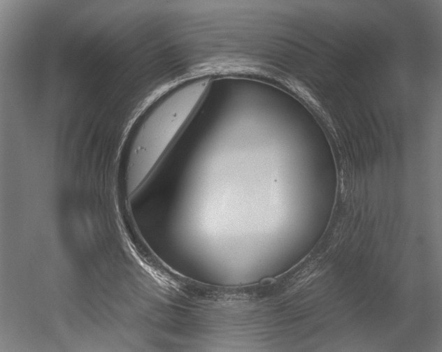 X0000052580438200507010917