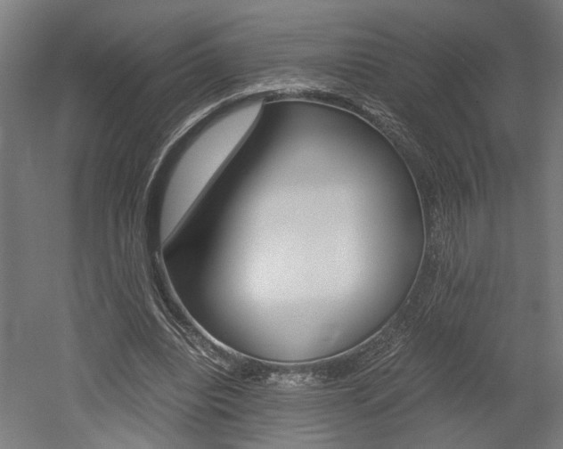 X0000052580440200507010917