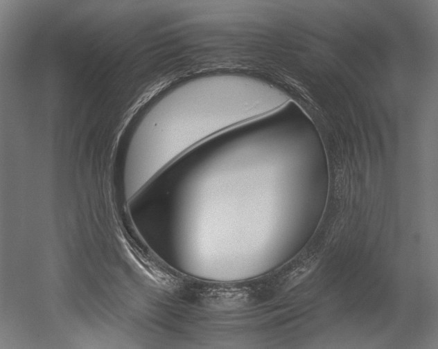 X0000052580443200507010917