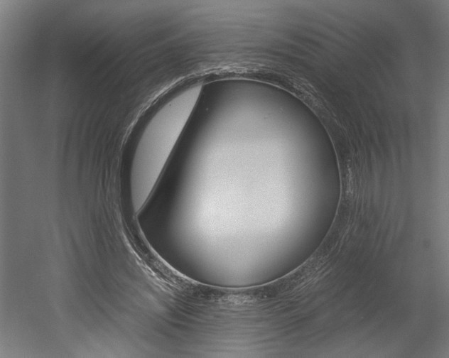 X0000052580444200507010918