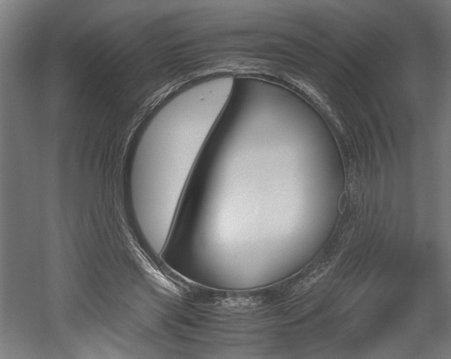 X0000052580445200507010918