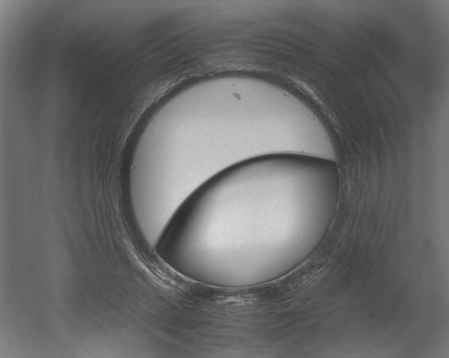 X0000052580447200507010918