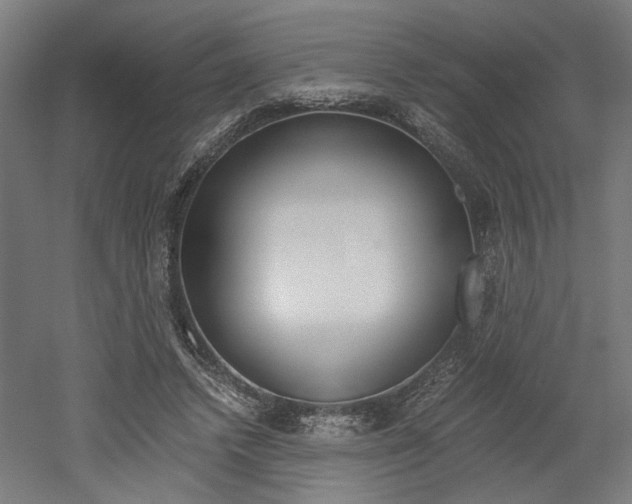 X0000052580448200507010918