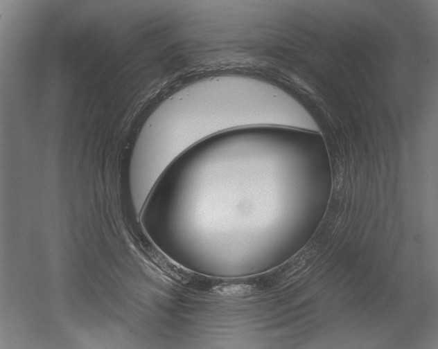 X0000052580452200507010918