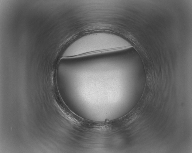 X0000052580454200507010918