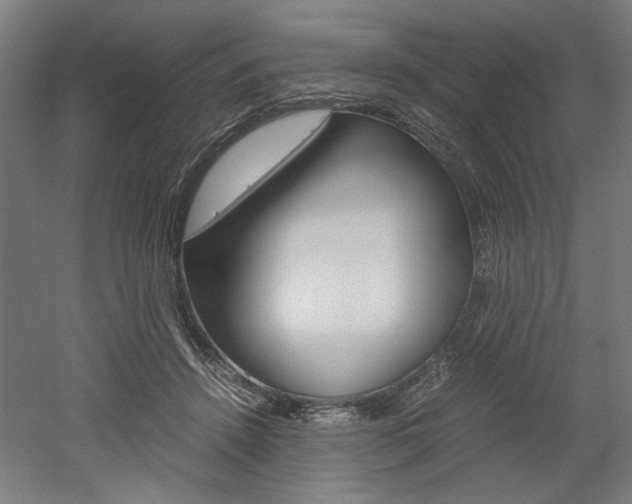 X0000052580456200507010918