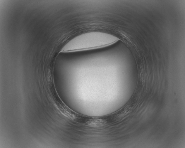 X0000052580459200507010918
