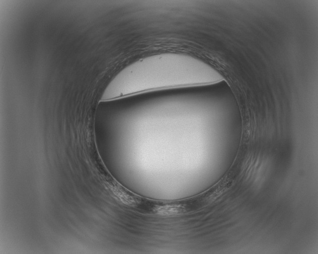 X0000052580461200507010918