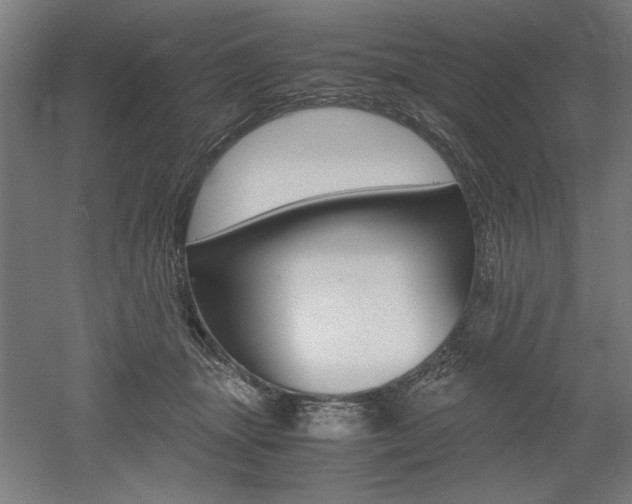 X0000052580463200507010918