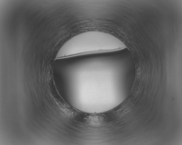 X0000052580464200507010918