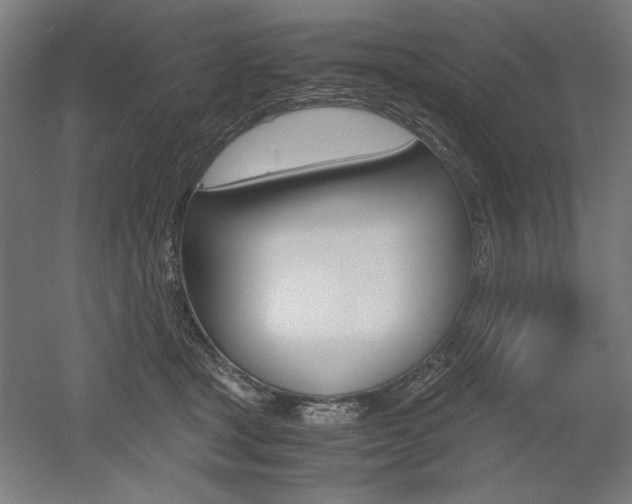 X0000052580465200507010918