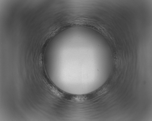 X0000052580466200507010918