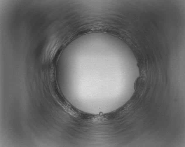 X0000052580468200507010918