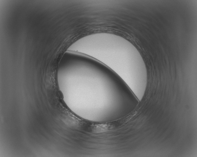 X0000052580473200507010918