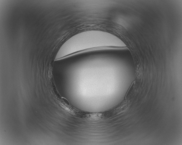X0000052580474200507010918