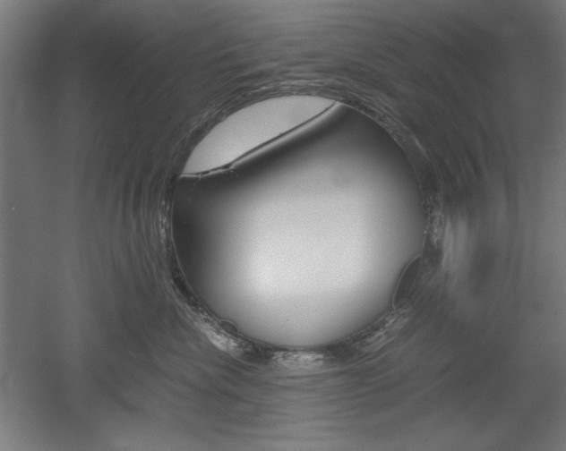 X0000052580476200507010918