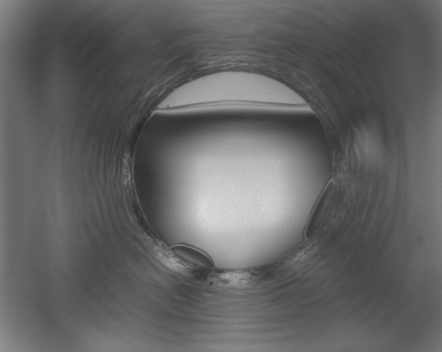 X0000052580478200507010918