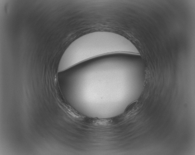 X0000052580479200507010918