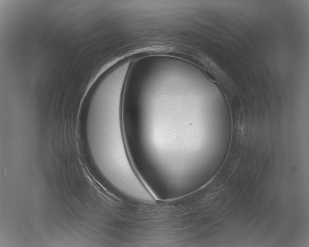X0000052580484200507010917