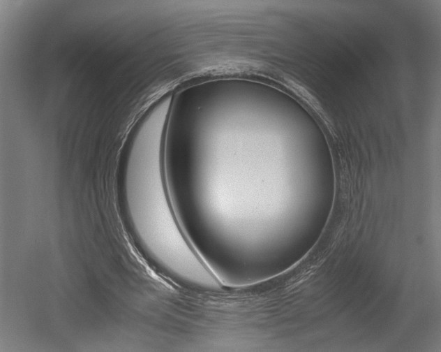 X0000052580485200507010917