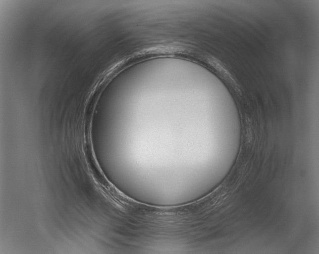 X0000052580486200507010917