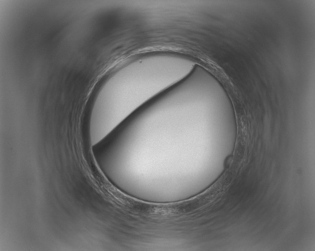 X0000052580487200507010917