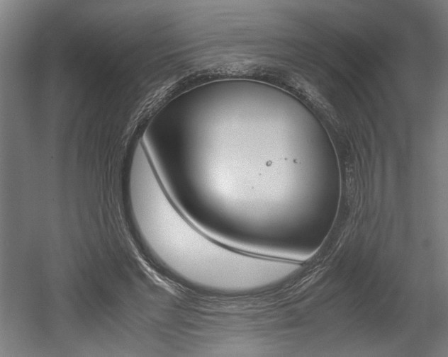 X0000052580493200507010917