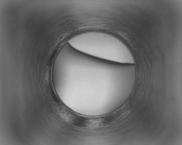 X0000052580495200507010917