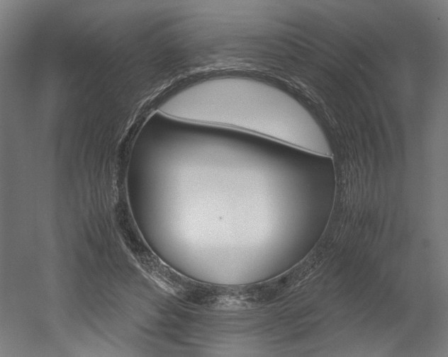X0000052580496200507010917