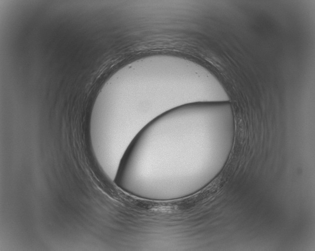 X0000052580499200507010917