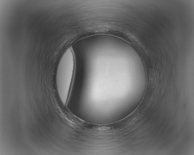 X0000052580501200507010917