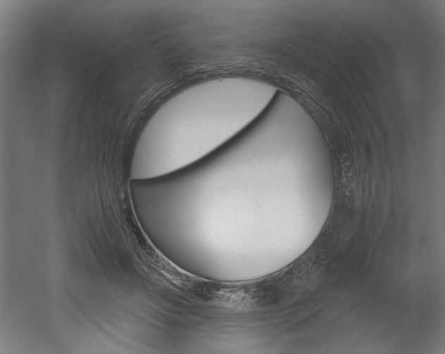 X0000052580502200507010917