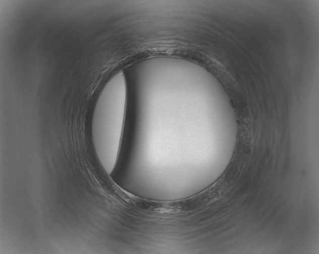 X0000052580504200507010917