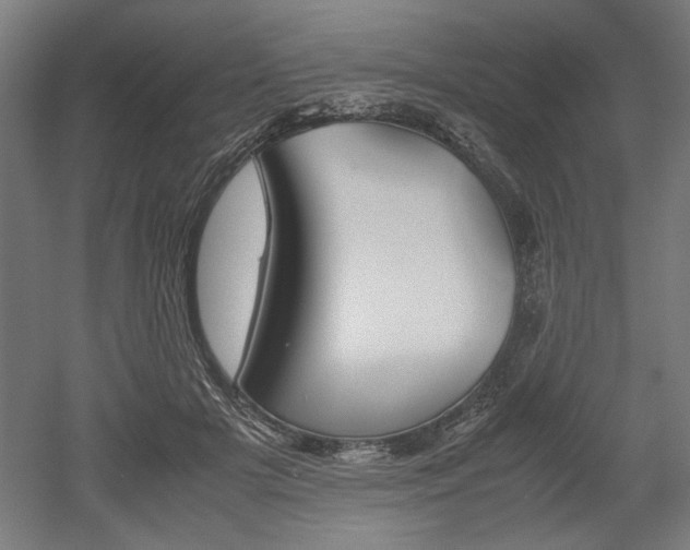 X0000052580505200507010917