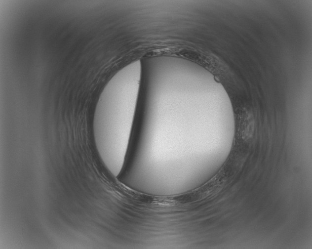 X0000052580510200507010917