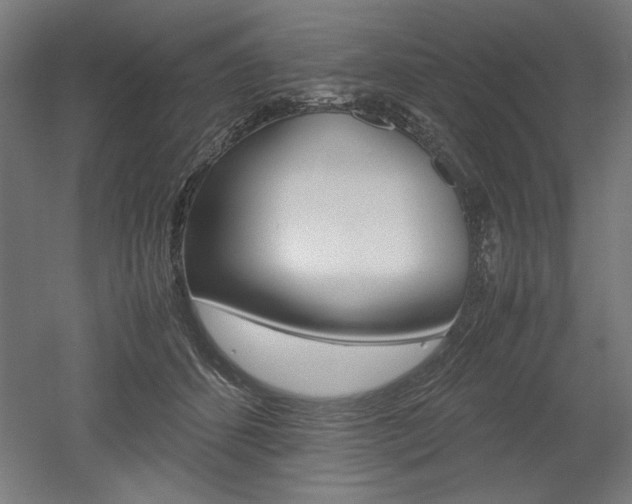 X0000052580512200507010917
