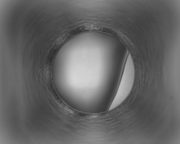 X0000052580513200507010917