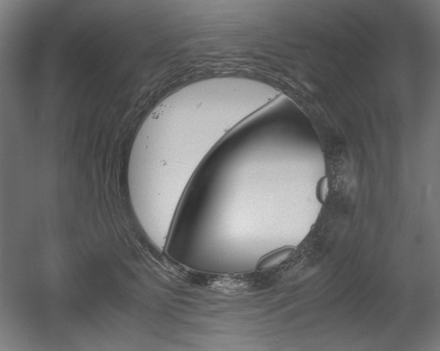X0000052580515200507010917
